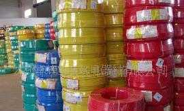 探访广州珠江电线环市ZB-BVV 2.5 筑智慧城市之基，做好品质的电缆工匠